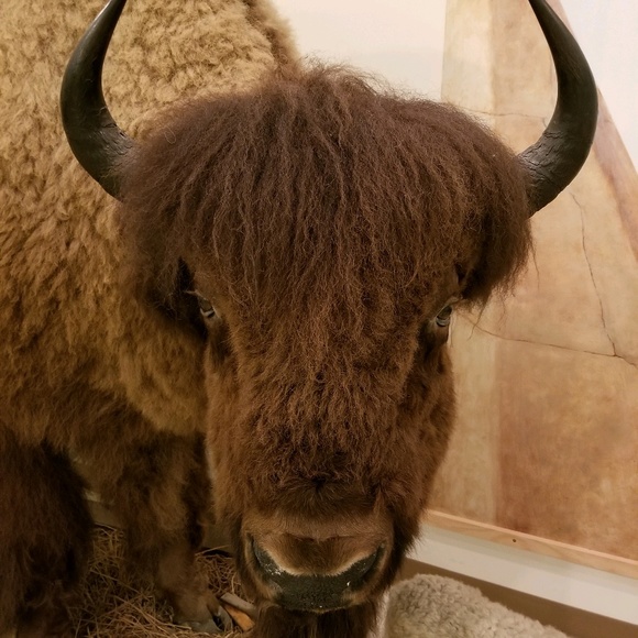 Meet your Posher, Jessica - Picture 1 of 1